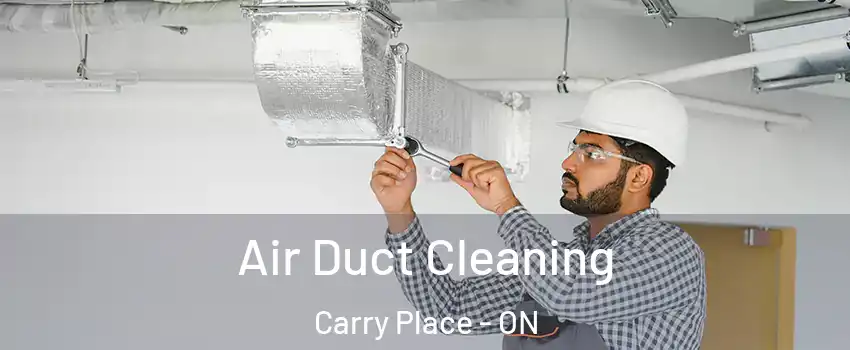  Air Duct Cleaning Carry Place - ON