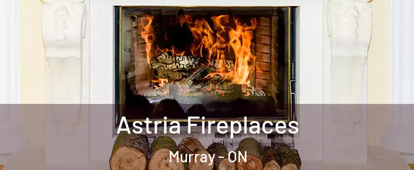  Astria Fireplaces Murray - ON