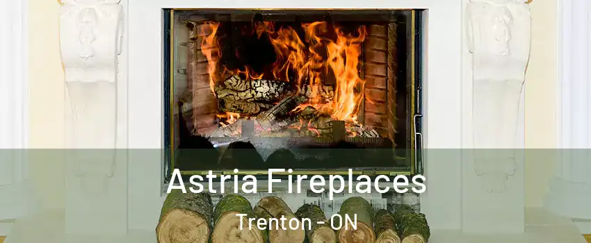  Astria Fireplaces Trenton - ON