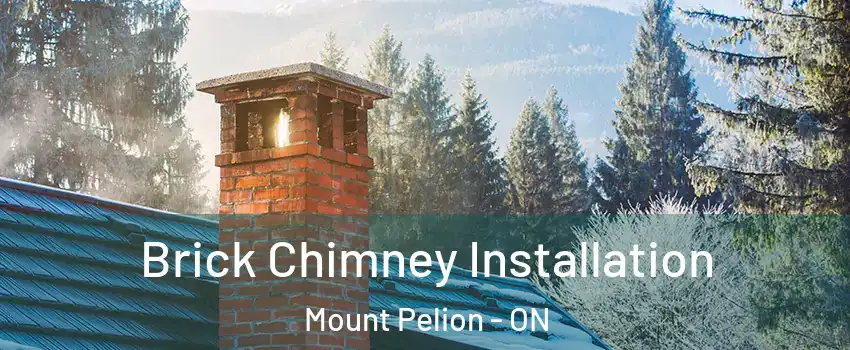  Brick Chimney Installation Mount Pelion - ON