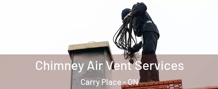  Chimney Air Vent Services Carry Place - ON