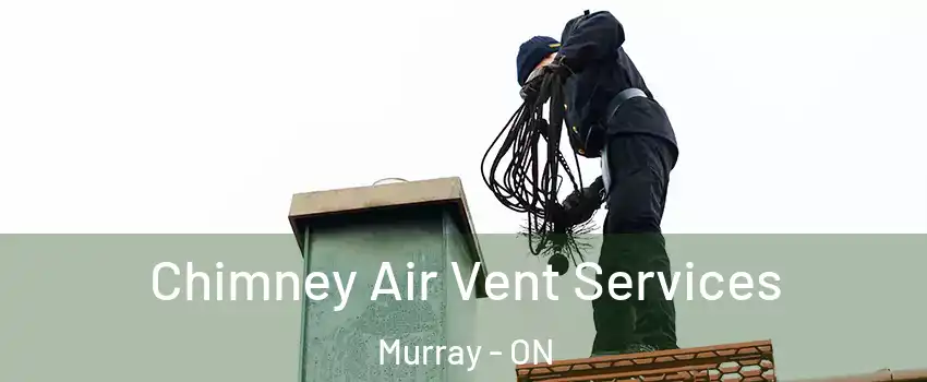  Chimney Air Vent Services Murray - ON