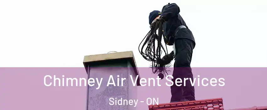  Chimney Air Vent Services Sidney - ON