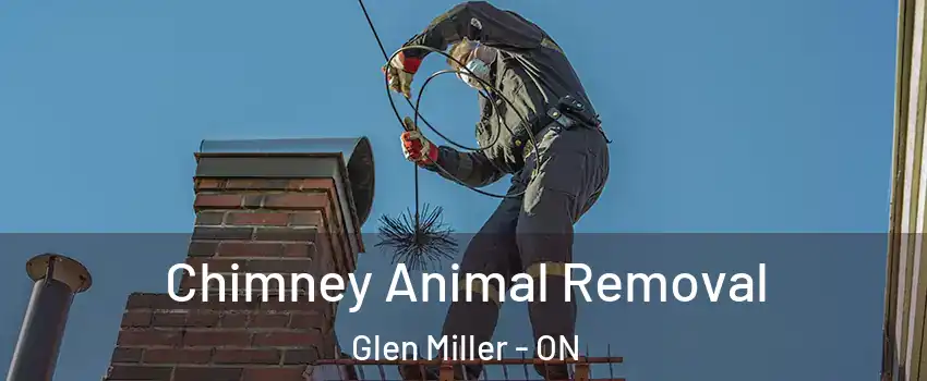 Chimney Animal Removal Glen Miller - ON