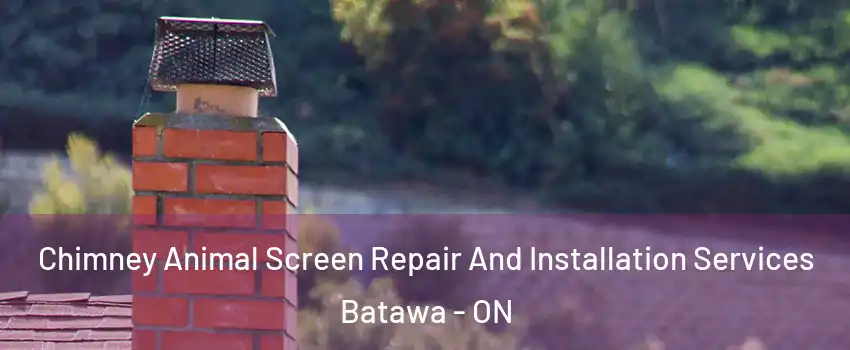  Chimney Animal Screen Repair And Installation Services Batawa - ON