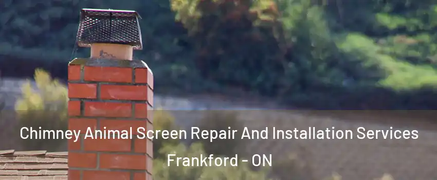  Chimney Animal Screen Repair And Installation Services Frankford - ON