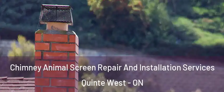  Chimney Animal Screen Repair And Installation Services Quinte West - ON