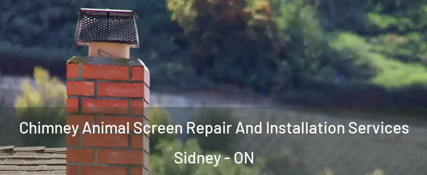  Chimney Animal Screen Repair And Installation Services Sidney - ON