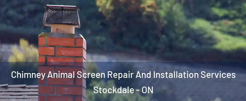  Chimney Animal Screen Repair And Installation Services Stockdale - ON