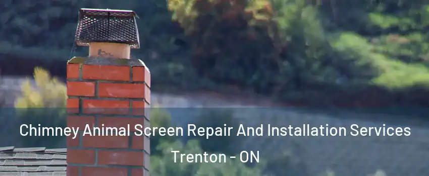  Chimney Animal Screen Repair And Installation Services Trenton - ON