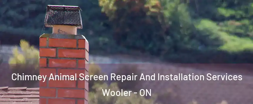  Chimney Animal Screen Repair And Installation Services Wooler - ON
