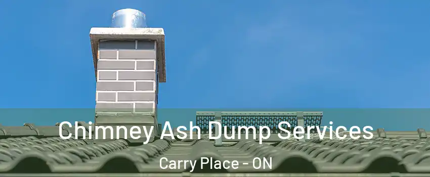  Chimney Ash Dump Services Carry Place - ON
