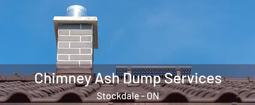  Chimney Ash Dump Services Stockdale - ON