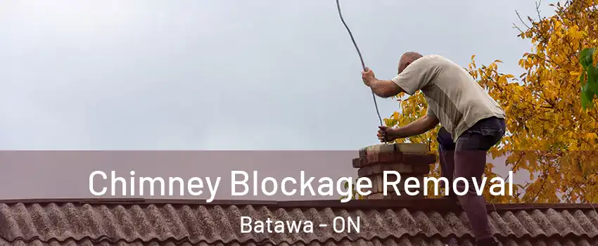  Chimney Blockage Removal Batawa - ON