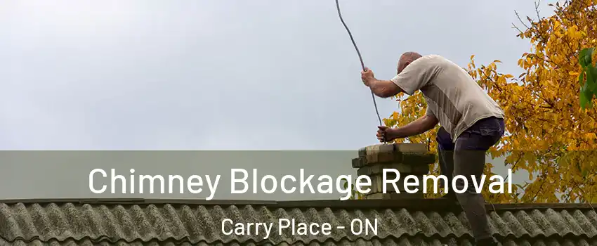  Chimney Blockage Removal Carry Place - ON