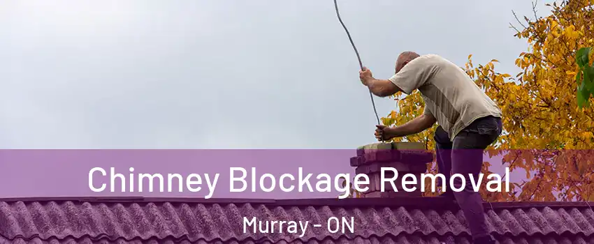  Chimney Blockage Removal Murray - ON