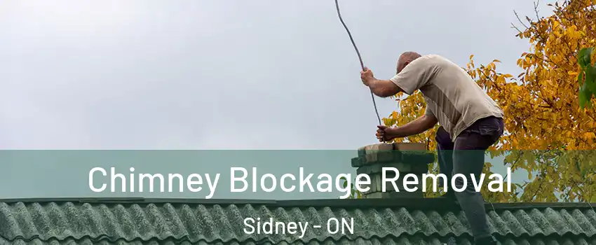  Chimney Blockage Removal Sidney - ON