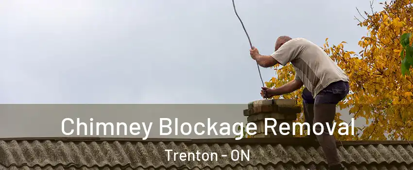  Chimney Blockage Removal Trenton - ON
