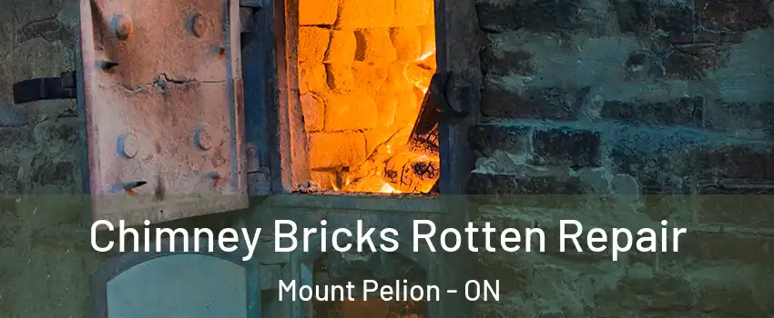  Chimney Bricks Rotten Repair Mount Pelion - ON