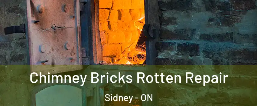  Chimney Bricks Rotten Repair Sidney - ON