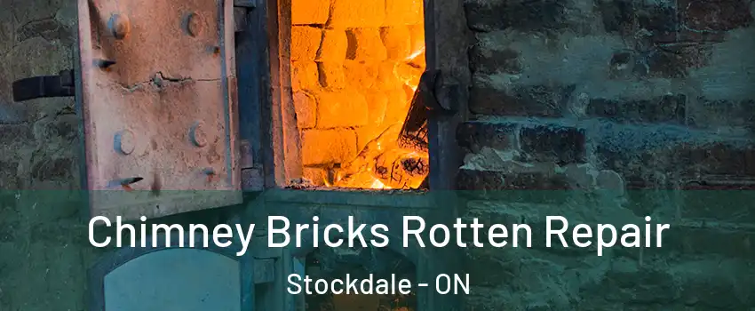  Chimney Bricks Rotten Repair Stockdale - ON