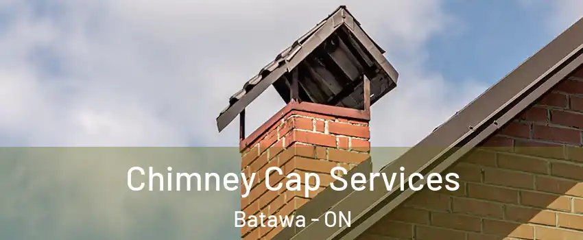  Chimney Cap Services Batawa - ON