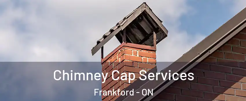  Chimney Cap Services Frankford - ON