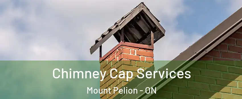  Chimney Cap Services Mount Pelion - ON