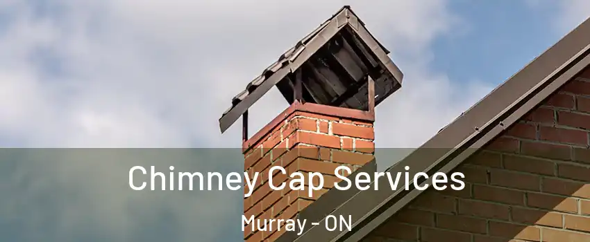  Chimney Cap Services Murray - ON