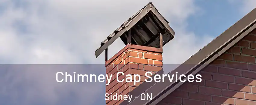  Chimney Cap Services Sidney - ON
