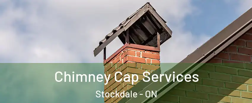  Chimney Cap Services Stockdale - ON