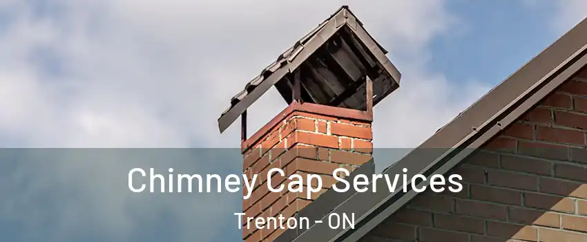  Chimney Cap Services Trenton - ON