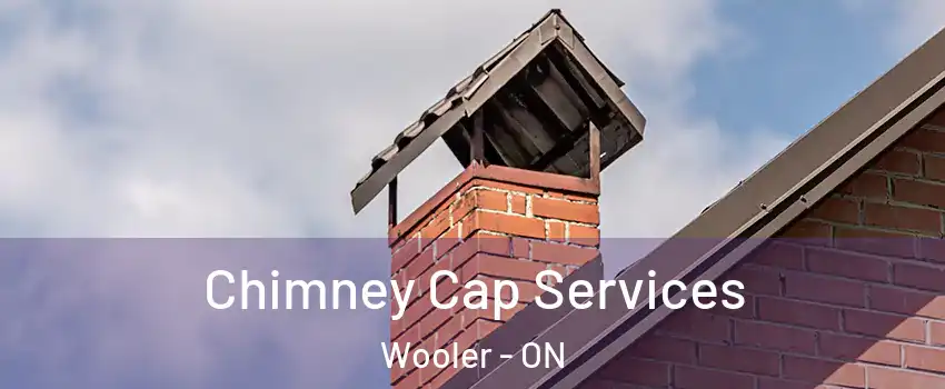  Chimney Cap Services Wooler - ON
