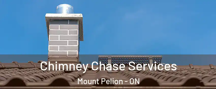  Chimney Chase Services Mount Pelion - ON