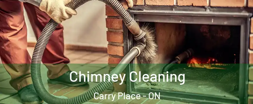  Chimney Cleaning Carry Place - ON