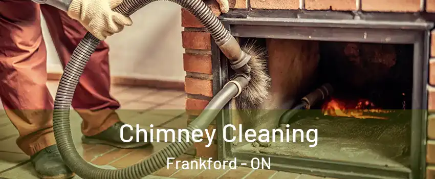  Chimney Cleaning Frankford - ON