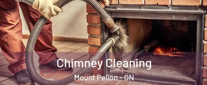  Chimney Cleaning Mount Pelion - ON