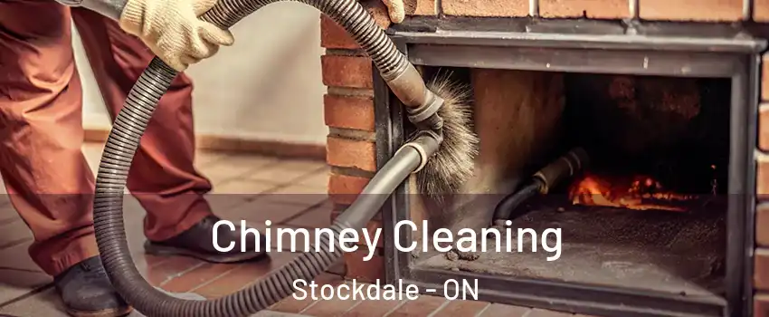  Chimney Cleaning Stockdale - ON