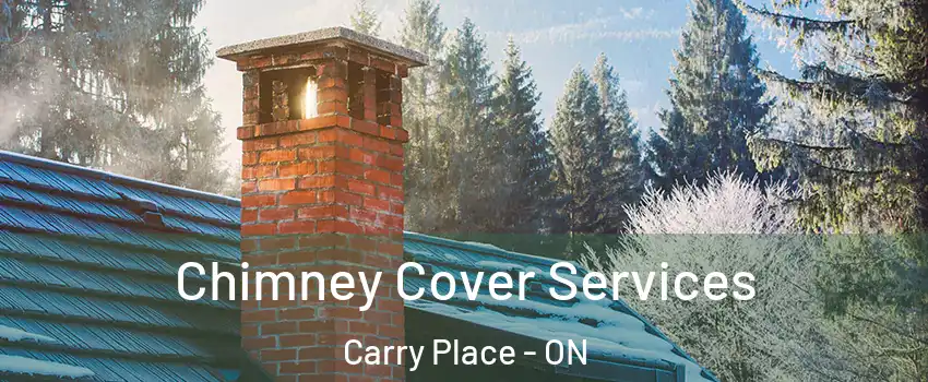  Chimney Cover Services Carry Place - ON