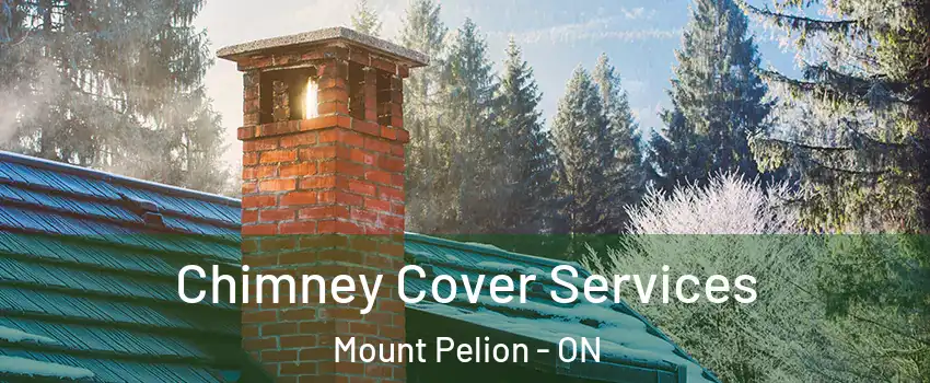  Chimney Cover Services Mount Pelion - ON