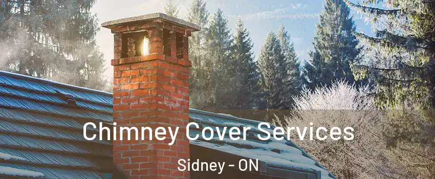  Chimney Cover Services Sidney - ON