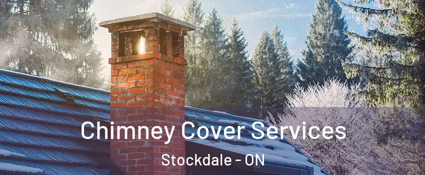  Chimney Cover Services Stockdale - ON