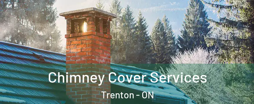  Chimney Cover Services Trenton - ON