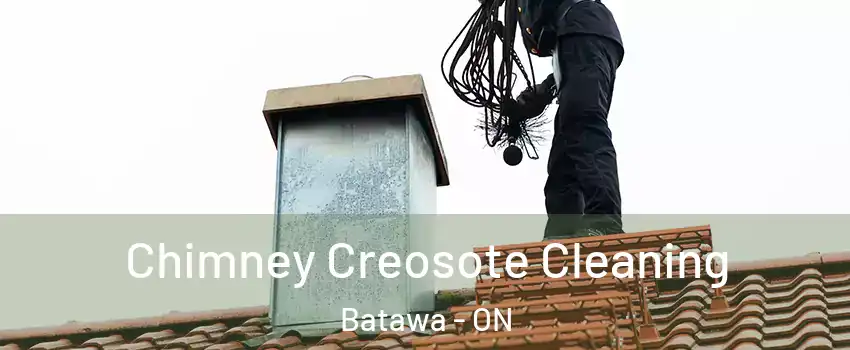  Chimney Creosote Cleaning Batawa - ON