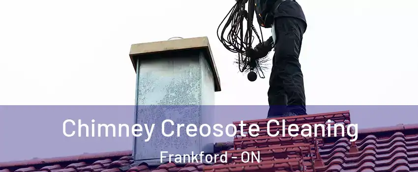  Chimney Creosote Cleaning Frankford - ON