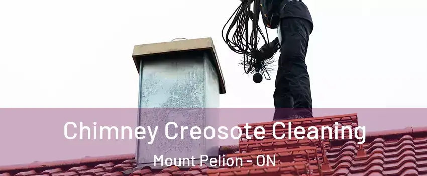  Chimney Creosote Cleaning Mount Pelion - ON