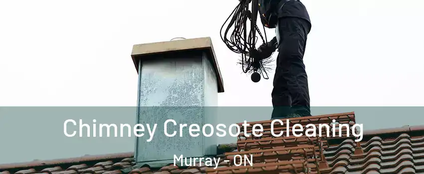  Chimney Creosote Cleaning Murray - ON