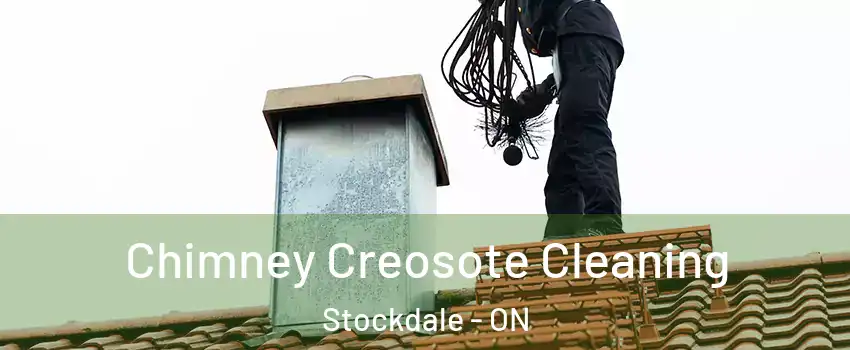  Chimney Creosote Cleaning Stockdale - ON