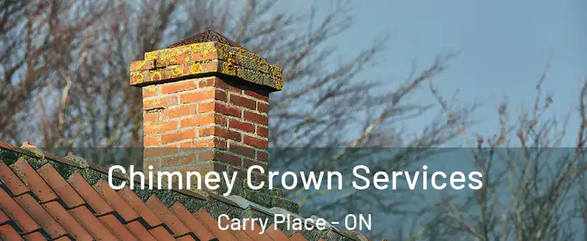  Chimney Crown Services Carry Place - ON