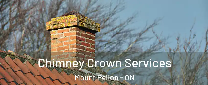  Chimney Crown Services Mount Pelion - ON